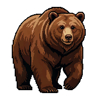 bear