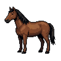 horse