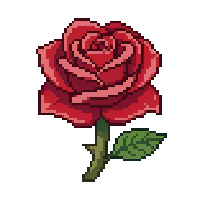 rose