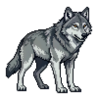 wolf