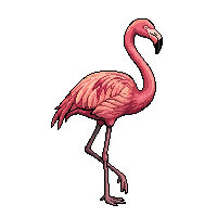 flamingo flat