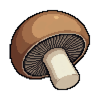 foodmushroom flat