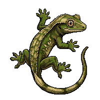 gecko flat