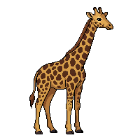 giraffe flat