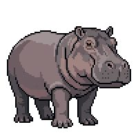 hippo flat