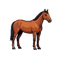 horse flat