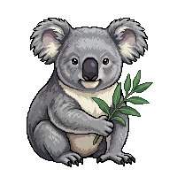 koala flat