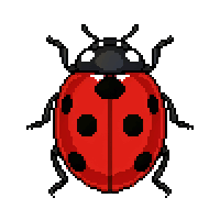 ladybug flat