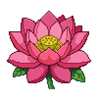 lotusflower flat