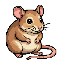 mouse flat