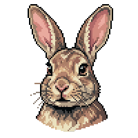 rabbit flat