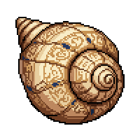 seashell flat