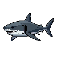 shark flat