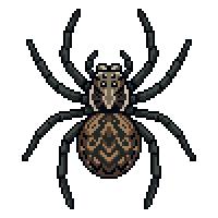 spider flat