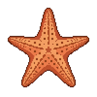 starfish flat