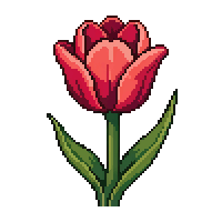 tulip flat