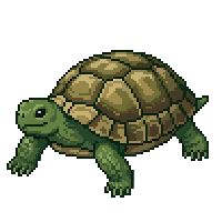 turtle flat