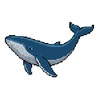 whale flat