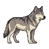 wolf flat