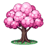 farming spring cherry blossom tree pink