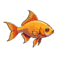 angelfish