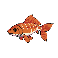 arowana fish