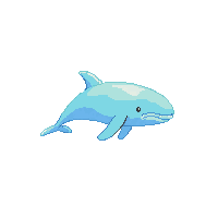 beluga whale
