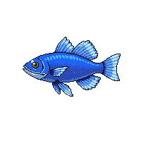 bluegill fish