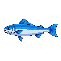 bonefish