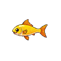 bonito fish