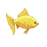 boxfish