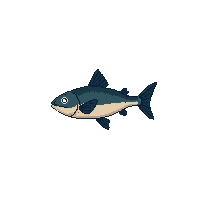 cod fish