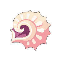 conch shell