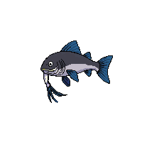 darter fish