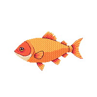 drum fish