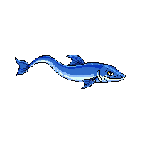 eel fish
