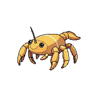 fiddler crab