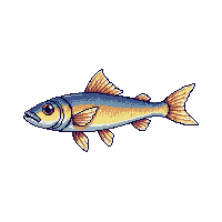 flying fish