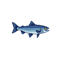 grayling fish
