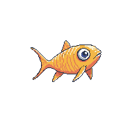 grouper fish
