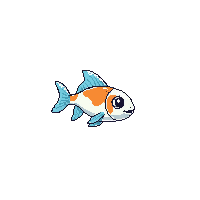 guppy fish