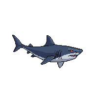 hammerhead shark