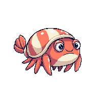 hermit crab