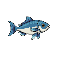 herring fish