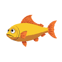 hogfish