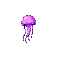 jellyfish
