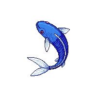 koi asagi blue
