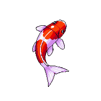 koi kohaku red white