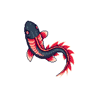 koi showa black red