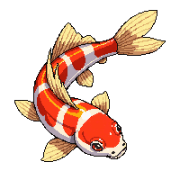 koi tancho red crest